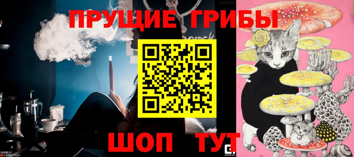Псилоцибиновые грибы Cubensis Верхняя Пышма