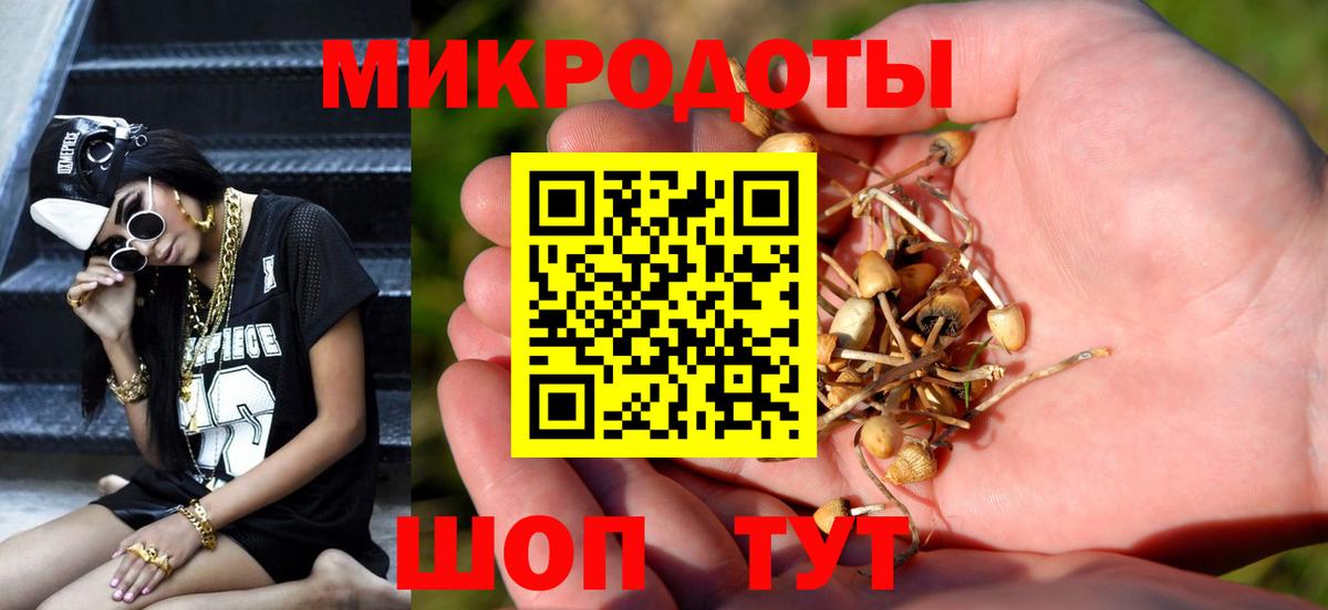 Галлюциногенные грибы мицелий  Вход с VPN  Верхняя Пышма  Галлюциногенные грибы Cubensis 