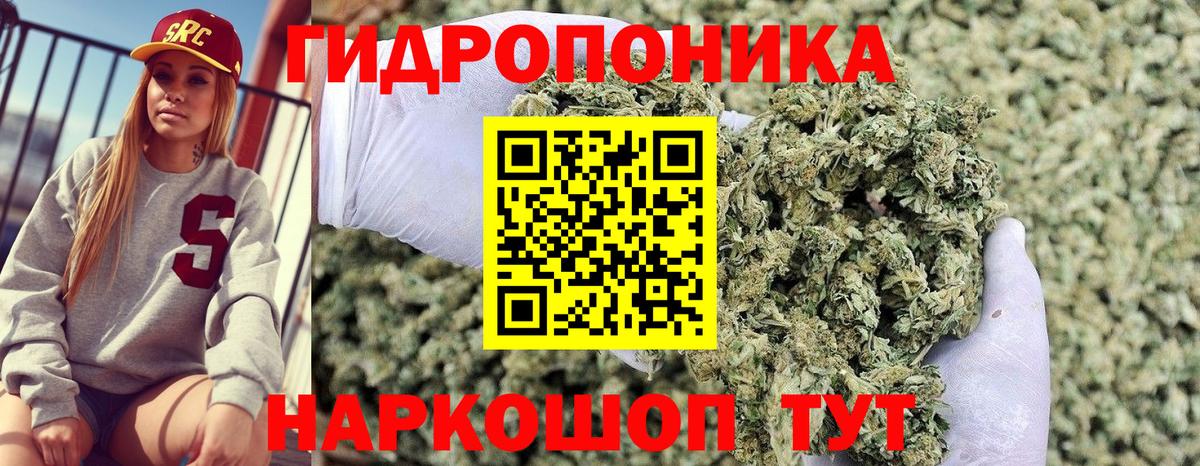 Верхняя Пышма  Каннабис индика  Бошки Шишки VHQ  Вход с VPN  Канабис семена 
